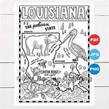 Louisiana Coloring State Map Pages Kids Printables Outline Flag Symbols  sketch template