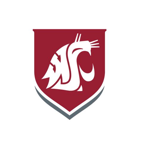 Writing Transfer in Engineering | Washington State University