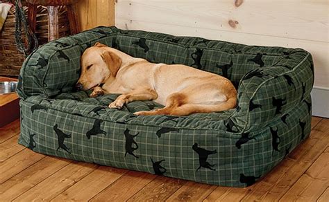 Best Beds For Medium Dogs at chandrarcoopero blog