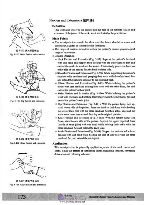 Illustrated Chinese Tuina Techniques and Methodsby Chang Xiaorong;Li Jiangshan;Li Tielang