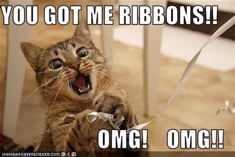 funny-pictures-cat-is-excited-about-ribbons | Paul Anderson | Flickr