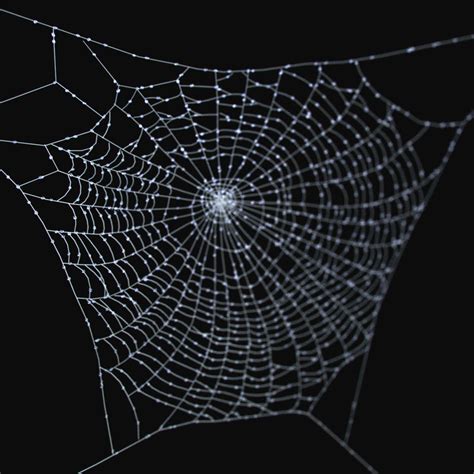 3d spider web