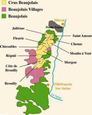 Map of Beaujolais | Beaujolais, Wine map, Wine