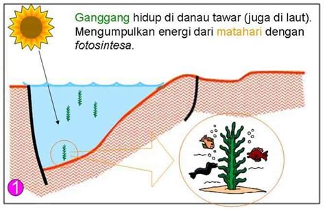 √ Proses Pembentukan Minyak Bumi [PENJELASAN LENGKAP]