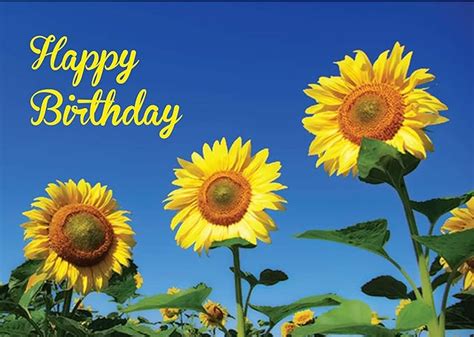 Amazon.com : Sunflower Birthday. The message inside the card reads "Wishing You a Very Happy ...