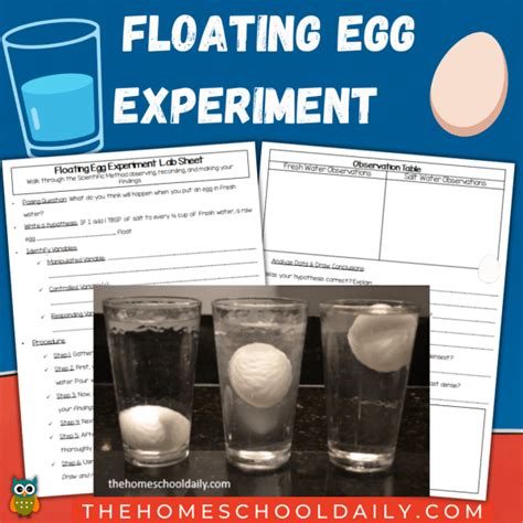 Salt Water Experiment Pack - The Homeschool Daily