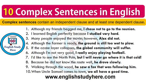 10 Complex Sentences in English - English Study Here