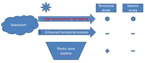 A new mercury isotope model provides strong evidence for marine photic ...