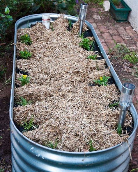 How to Build a Wicking Garden Bed Container - DIY projects for everyone! | Raised vegetable ...