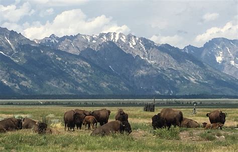 Kelly, WY 2024: Best Places to Visit - Tripadvisor