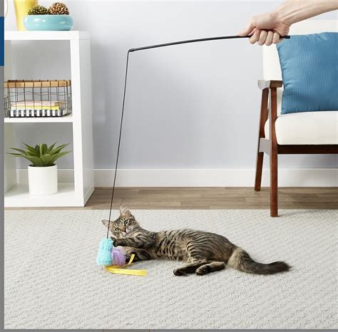 25 Products From Chewy That Cat Owners Love