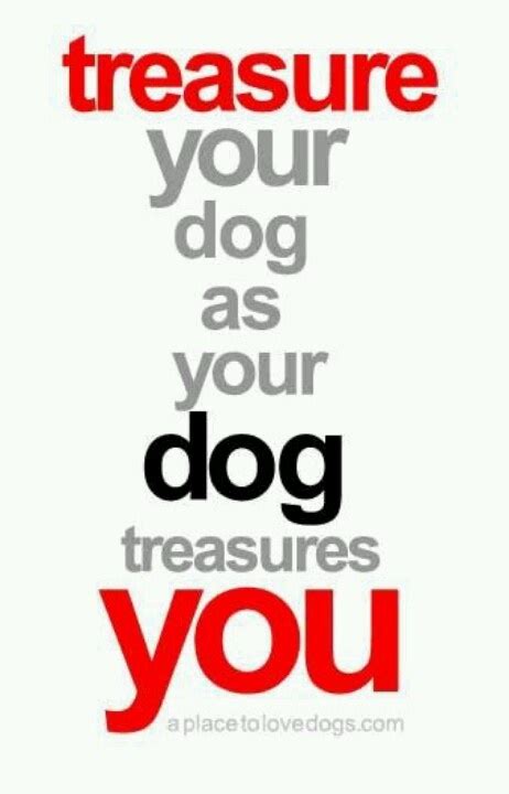 Quotes About Dog Days. QuotesGram