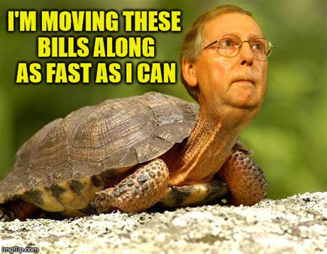 McConnell Turtle - Imgflip