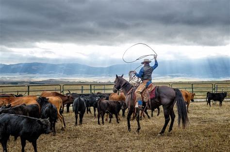 Beautiful Montana Landscape Photography and Photo Restoration Western ...