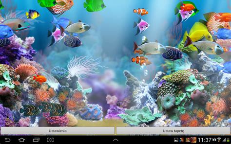 3d Aquarium Live Wallpaper Hd Pc