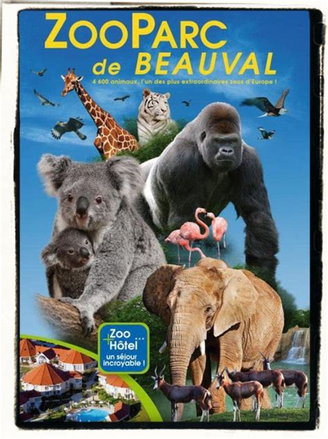 Tarif Zoo Beauval 2025 Nfl - Venus Jeannine