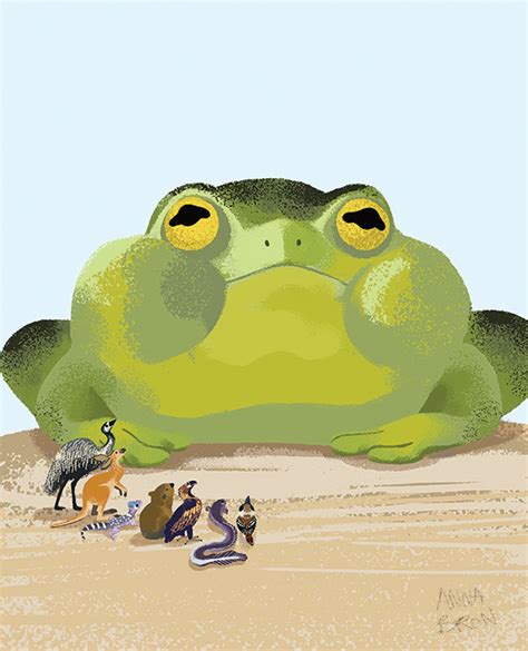 Tiddalik the Frog - Anna Bron illustration