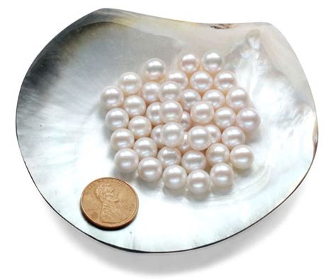 8-9mm AA+ Loose Real Round Pearls Sold by Ounce