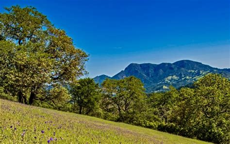 Hiking Trails Napa: Lush Trails,Waterfalls, Scenic Sips, and That ...