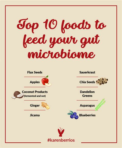 Top 10 Foods To Feed Your Gut Microbiome - Gut Health