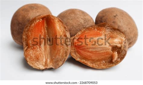 2,853 Sapodilla Slices Images, Stock Photos & Vectors | Shutterstock