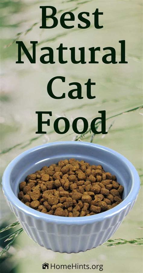 Best Natural Cat Food - Healthiest Dry & Wet Brands | Natural cat food, Healthy cat food, Dog ...