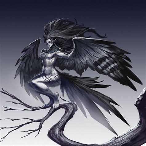 Harpy by Vixgo on DeviantArt