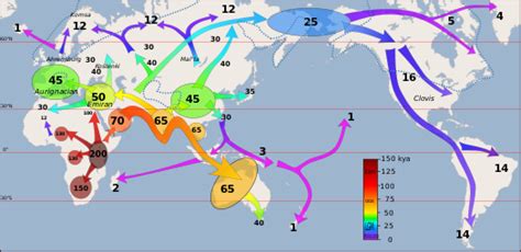 Peopling of the Americas - Wikiwand