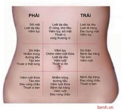 Đau bụng – nguyên nhân, triệu chứng và cách điều trị - MedLib