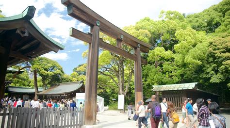 Meiji Jingu Shrine in Shibuya | Expedia.co.th