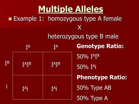 Multiple Alleles Punnett Square