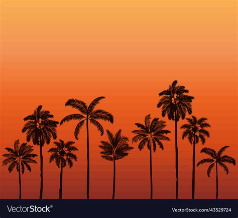 Poster of beach sunset Royalty Free Vector Image