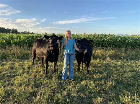 Agriculture scholarships in Whatcom County — Whatcom County Cattlemen's