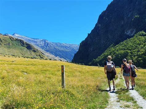 THE ROB ROY GLACIER TRACK (DETAILS & PHOTOS)