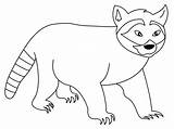 Free Printable Raccoon Coloring Pages For Kids sketch template