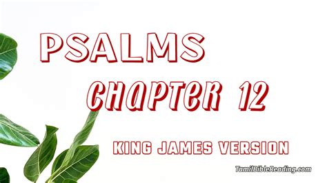 Psalm Chapter 12 - King James Version - Bible Reading