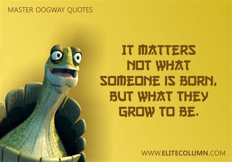 26 Master Oogway Quotes That Will Inspire You (2022) | EliteColumn