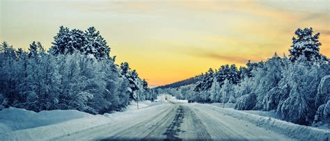 Winter Road Landscape Free Stock Photo - Public Domain Pictures