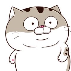 fat cat Ami 13 TW – LINE stickers | LINE STORE