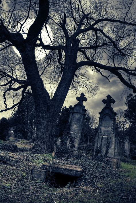 Gothic Cemetery | Old cemeteries, Graveyard, Cemeteries