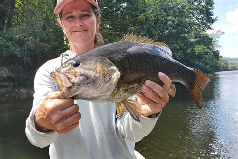 Guided Smallmouth Bass Trips | Davidson River Outfitters