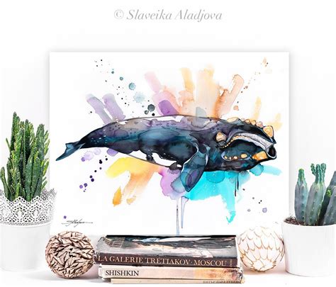 Southern right whale watercolor painting print by Slaveika Aladjova