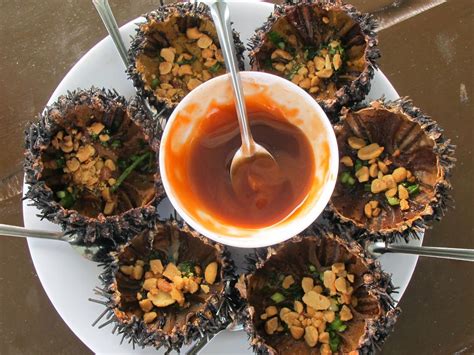Phu Quoc Sea Urchin - phuquoccampingtrips | Aesthetic food, Event food, Cuisine