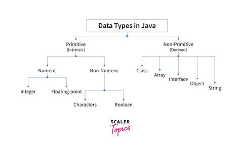 Non-primitive Data Types in Java | Scaler Topics