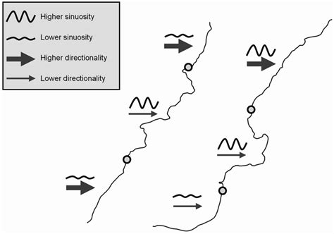 Examples of visual segmentation, with indications of differences in... | Download Scientific Diagram