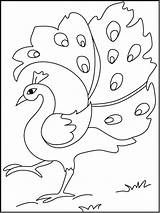 15 Peacock Coloring Pages For Kids To Have Feathery Fun sketch template