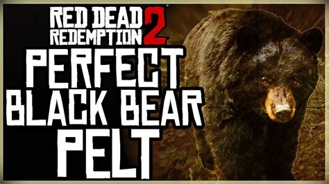 HOW TO GET A PERFECT BLACK BEAR PELT - RED DEAD REDEMPTION 2 PRISTINE BLACK BEAR HUNT - YouTube