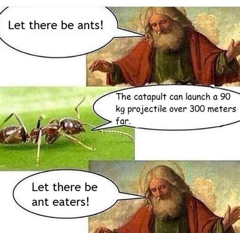 Let There Be Ants! | Know Your Meme