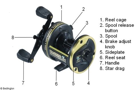 Baitcaster Parts Diagram - Wiring Diagram Pictures