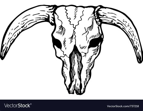 Texas longhorn bull skull Royalty Free Vector Image , #AD, #bull, # ...